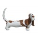 Basset Hound