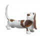 Basset Hound