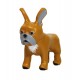 French Bulldog (brown)
