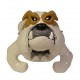 English Bulldog